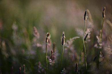 Steam新一周销量榜 《战神4》二连冠